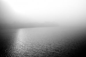navarro river fog