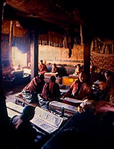 buddist monks reading the holy books